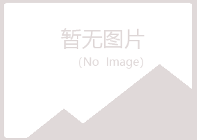 曲靖夏岚采矿有限公司